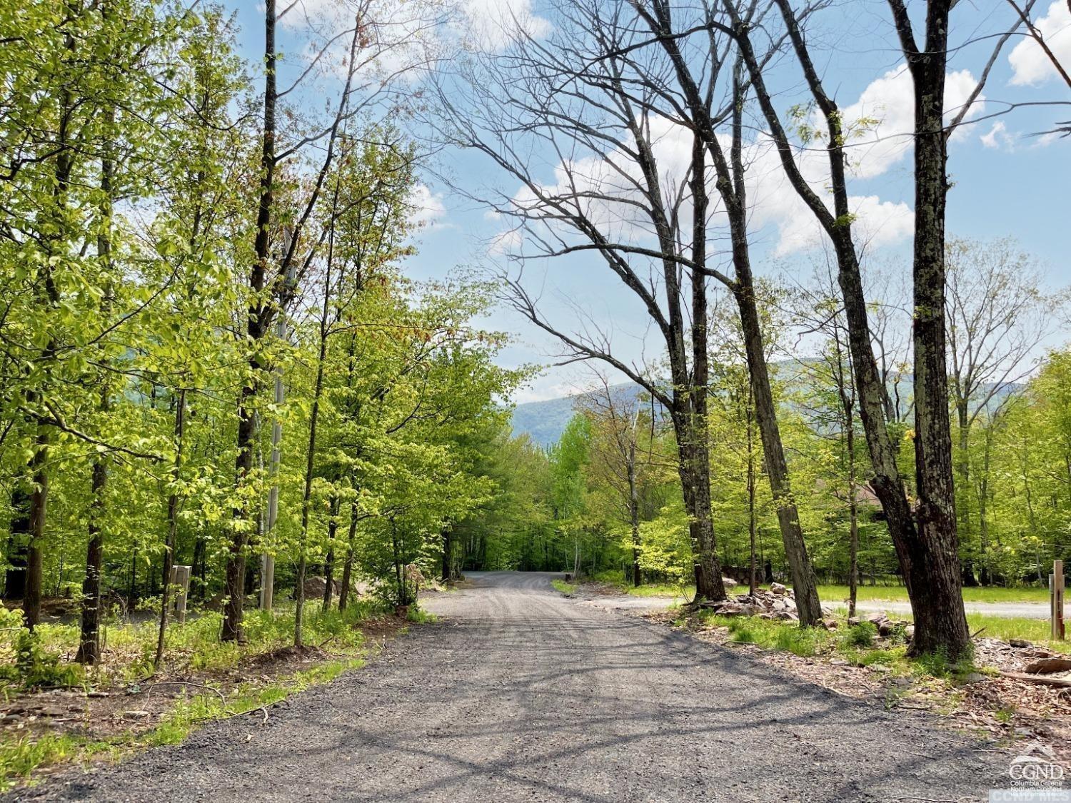 Camp Schohairie Road, Hunter, New York image 4