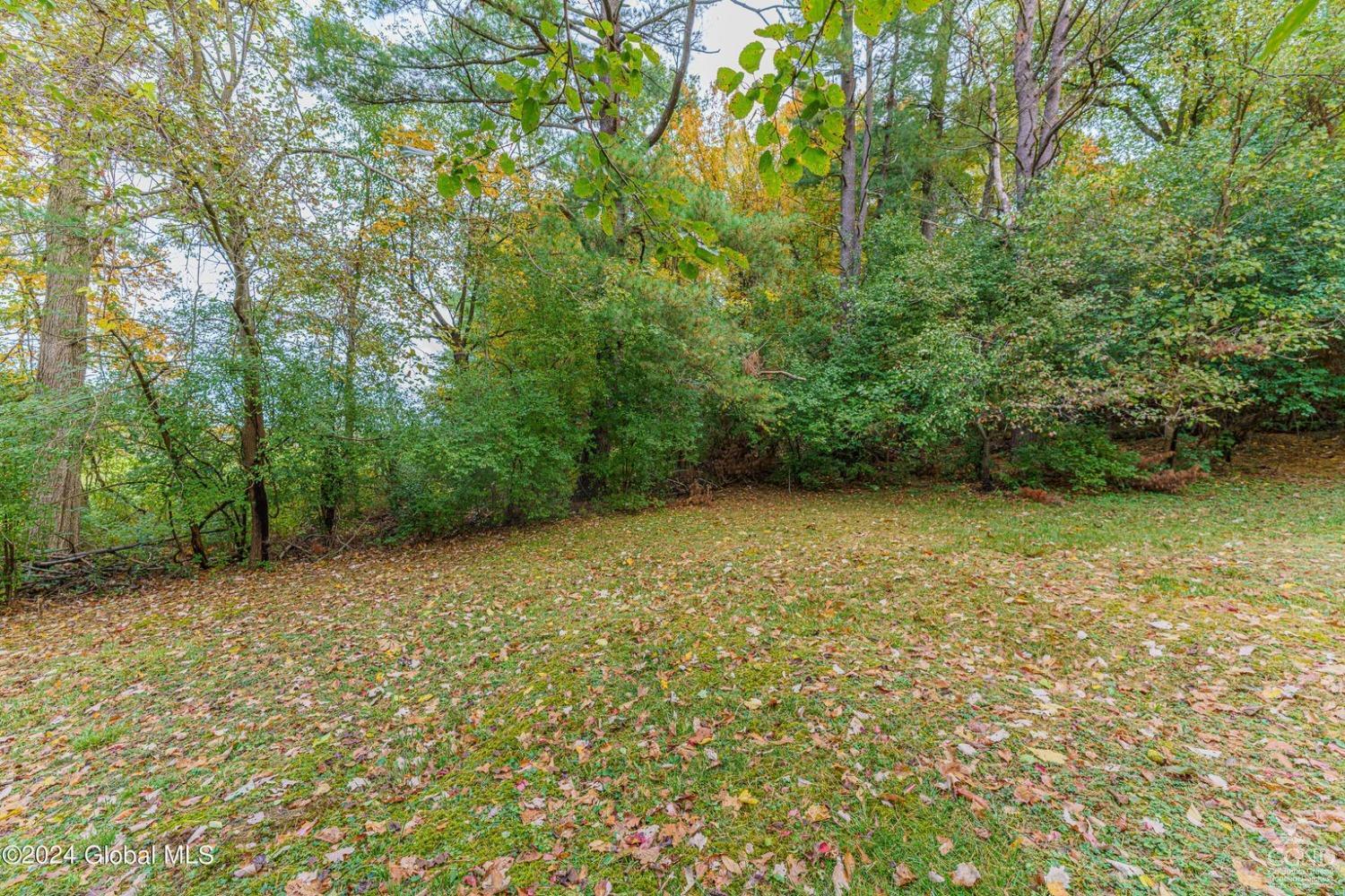 67 Oak Leaf Drive, Stuyvesant, New York image 34