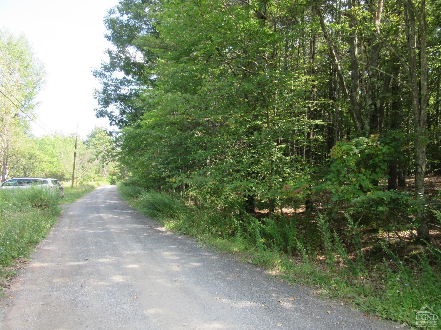 Lakeview Road, East Durham, New York image 12