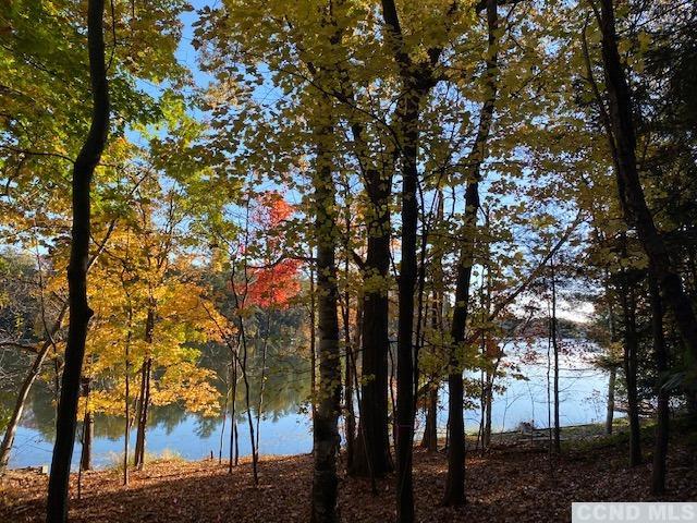 1258 Lakeview Road, Copake, New York -  - 