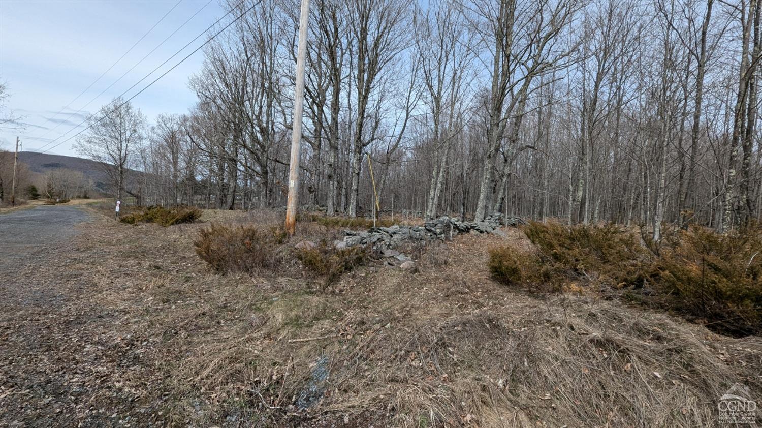 75 Windy Lane, Jewett, New York image 2