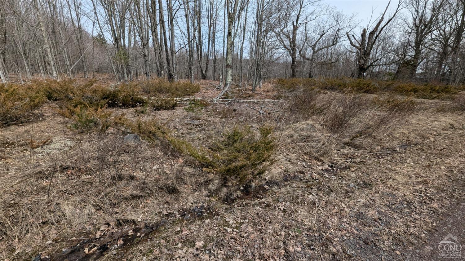 75 Windy Lane, Jewett, New York image 3