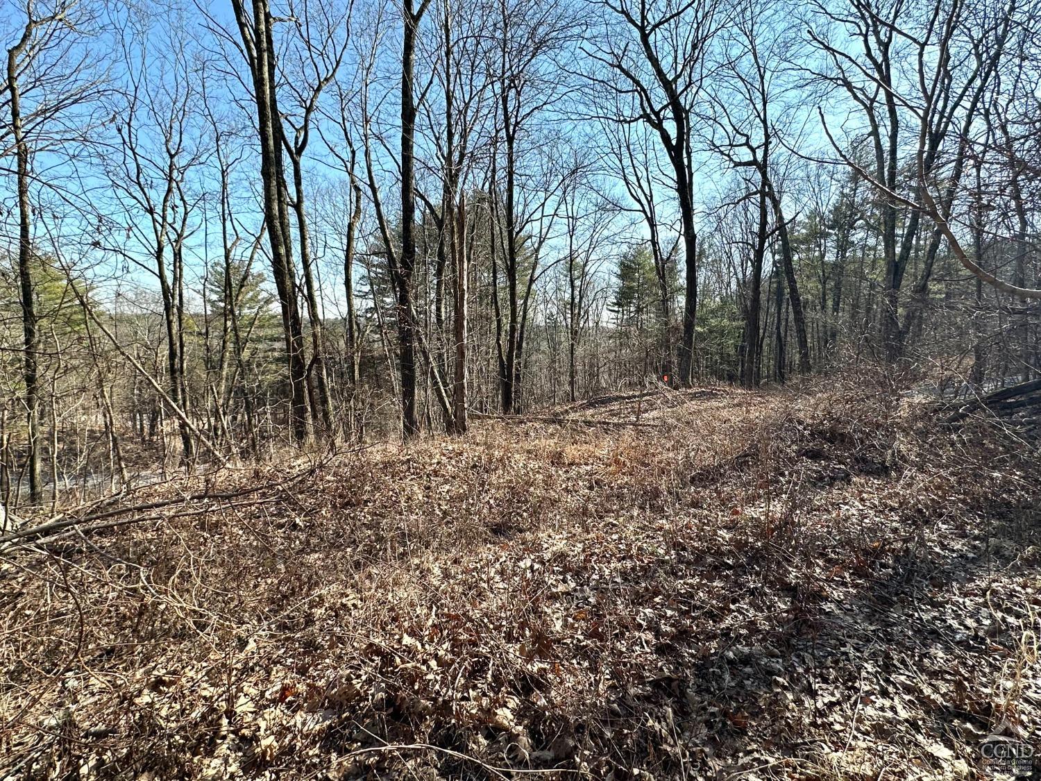Buttermilk Falls Road, Athens, New York image 6