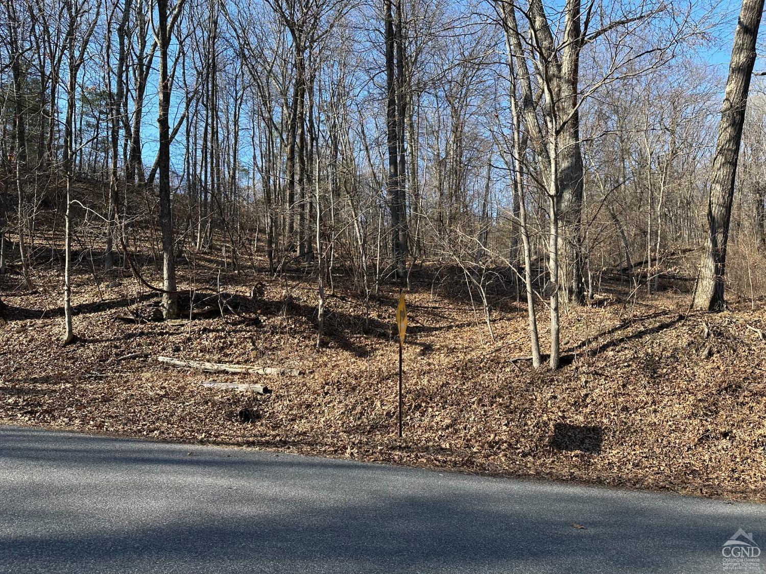 Buttermilk Falls Road, Athens, New York image 1