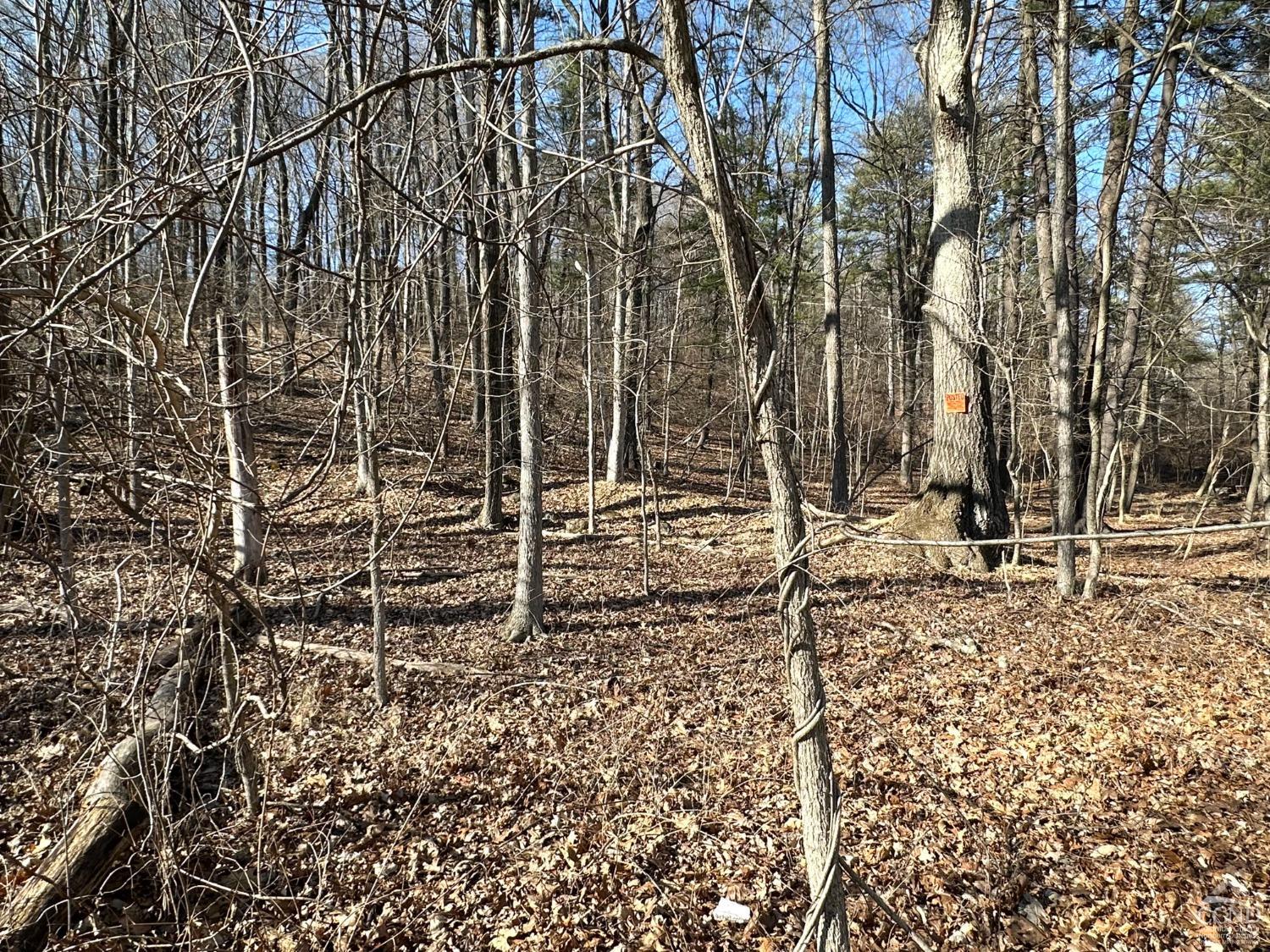Buttermilk Falls Road, Athens, New York image 10