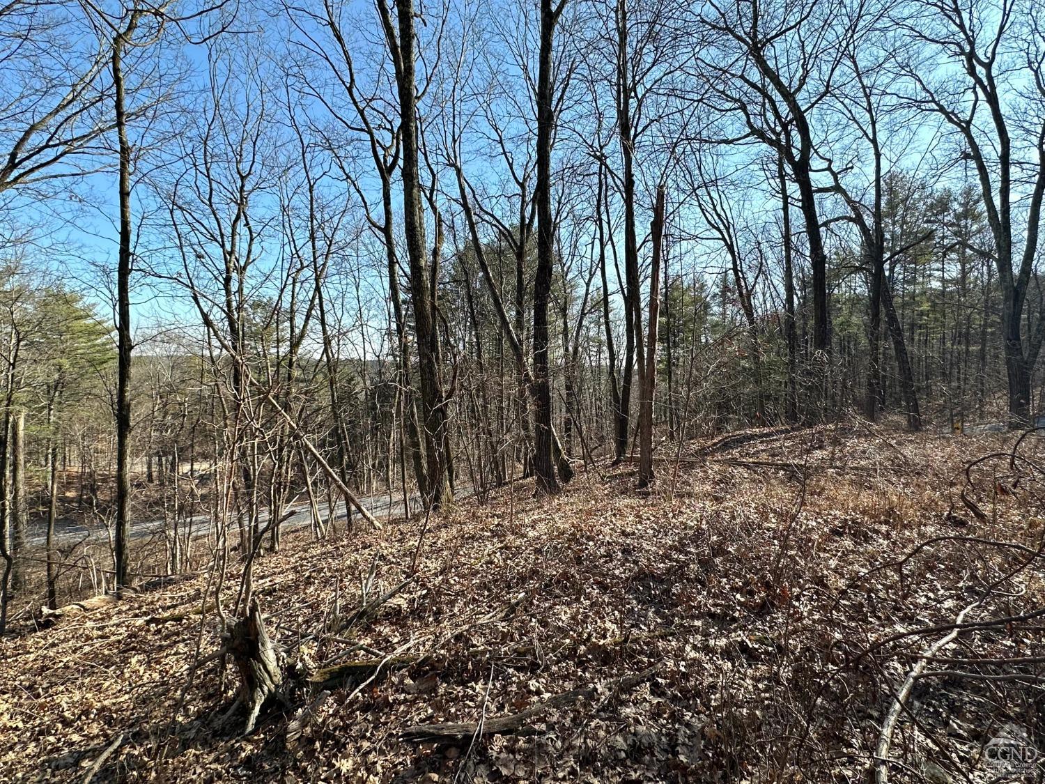 Buttermilk Falls Road, Athens, New York image 7