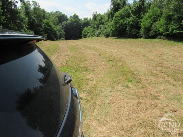 County Rt .19, Livingston, Texas image 2