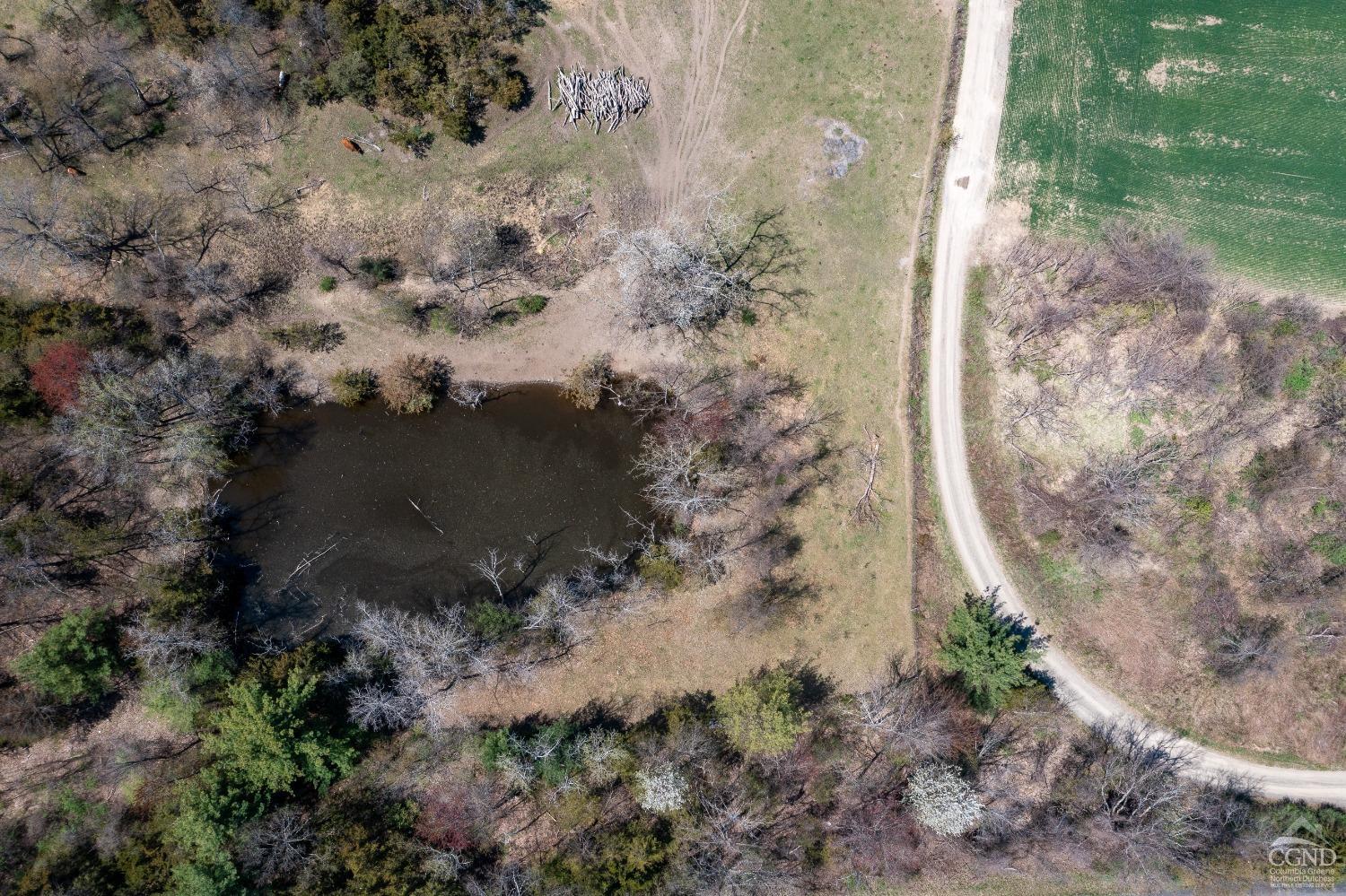 County Rt .19, Livingston, Texas image 16