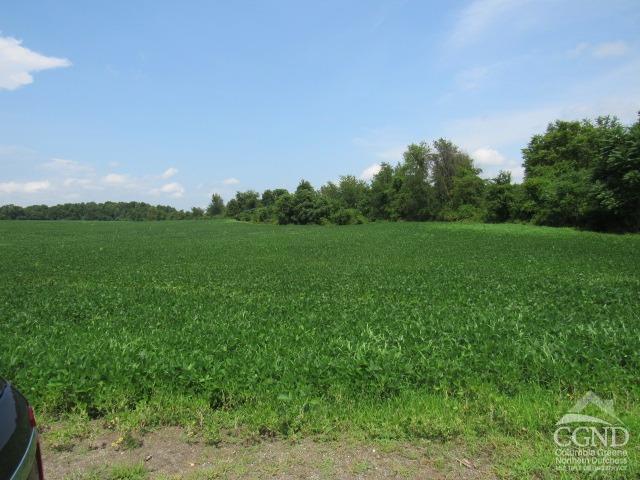 County Rt .19, Livingston, Texas image 6