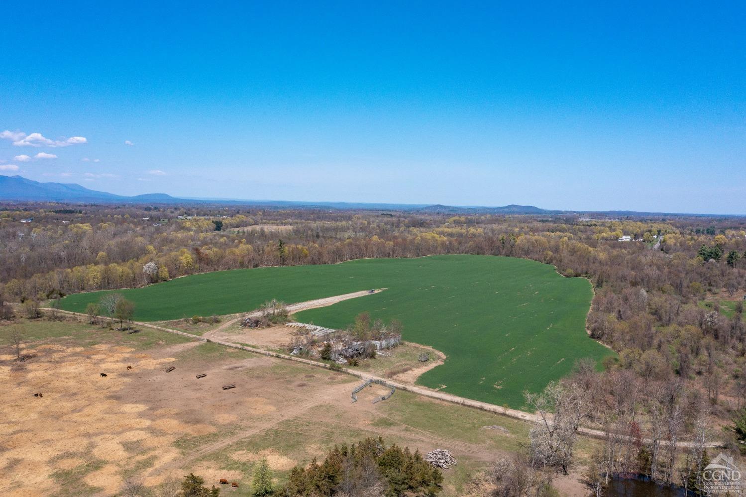 County Rt .19, Livingston, Texas image 17