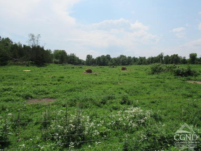 County Rt .19, Livingston, Texas image 4
