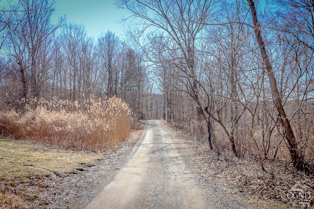 7 Spring Hill Lane, Ghent, New York image 38