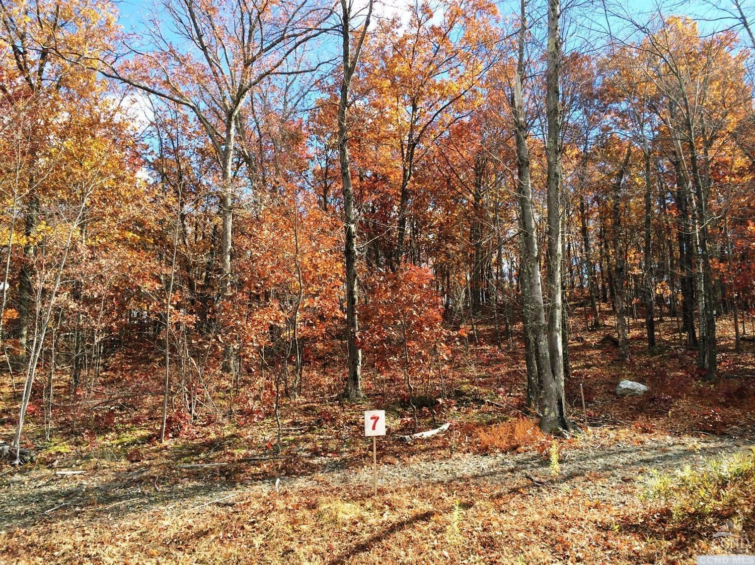 7 Stonegate Off Birch Hill Rd Road #LOT 7, Copake, New York image 2