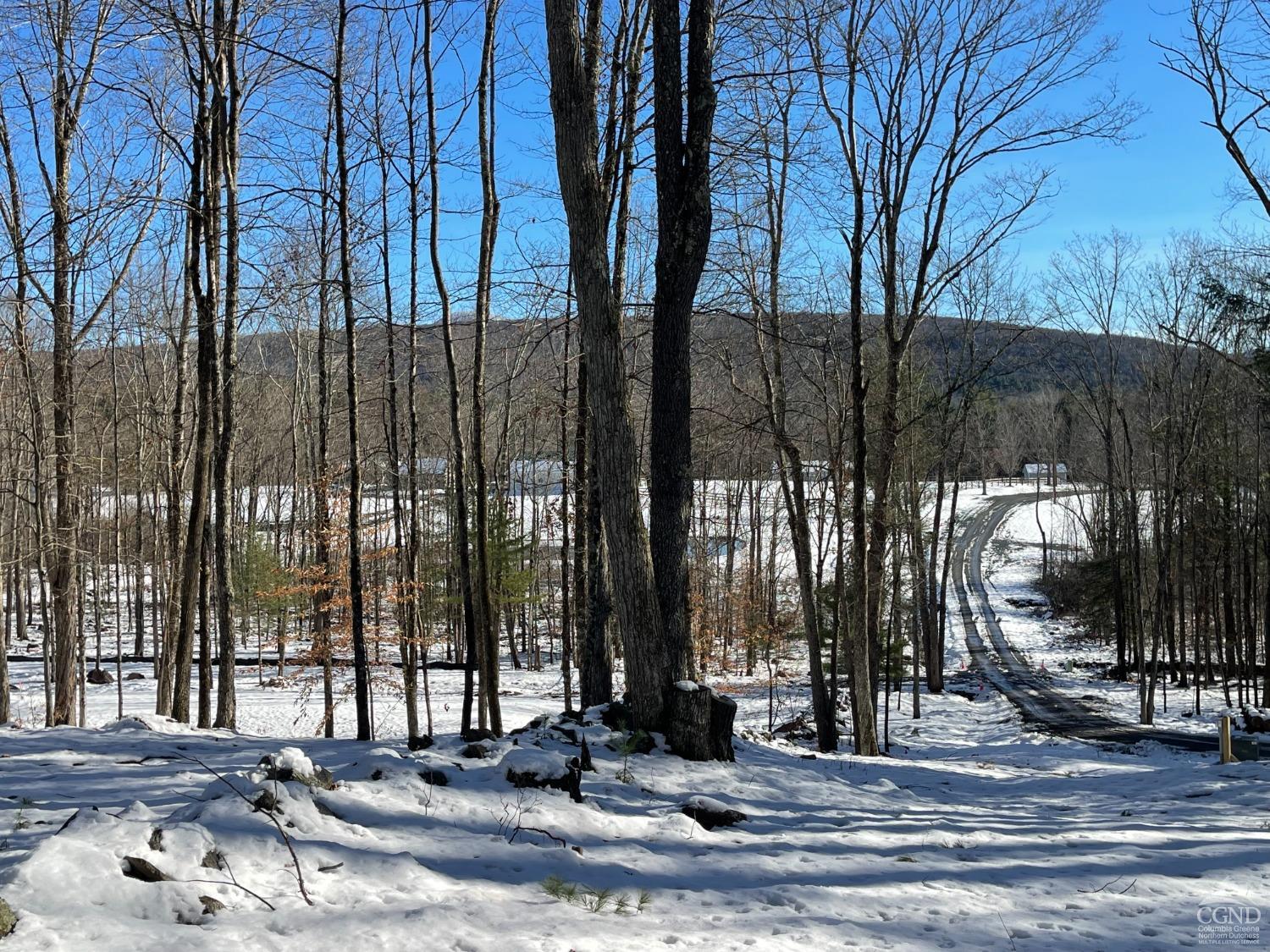 2 Windham Farms Road #LOT 2, Windham, New York image 2