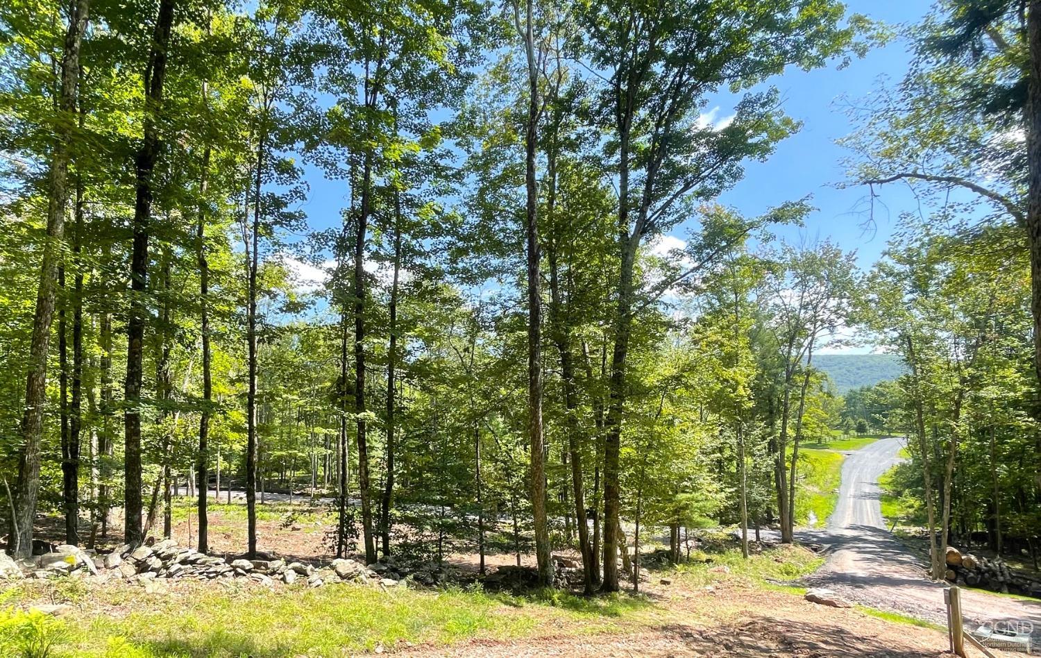 2 Windham Farms Road #LOT 2, Windham, New York image 26