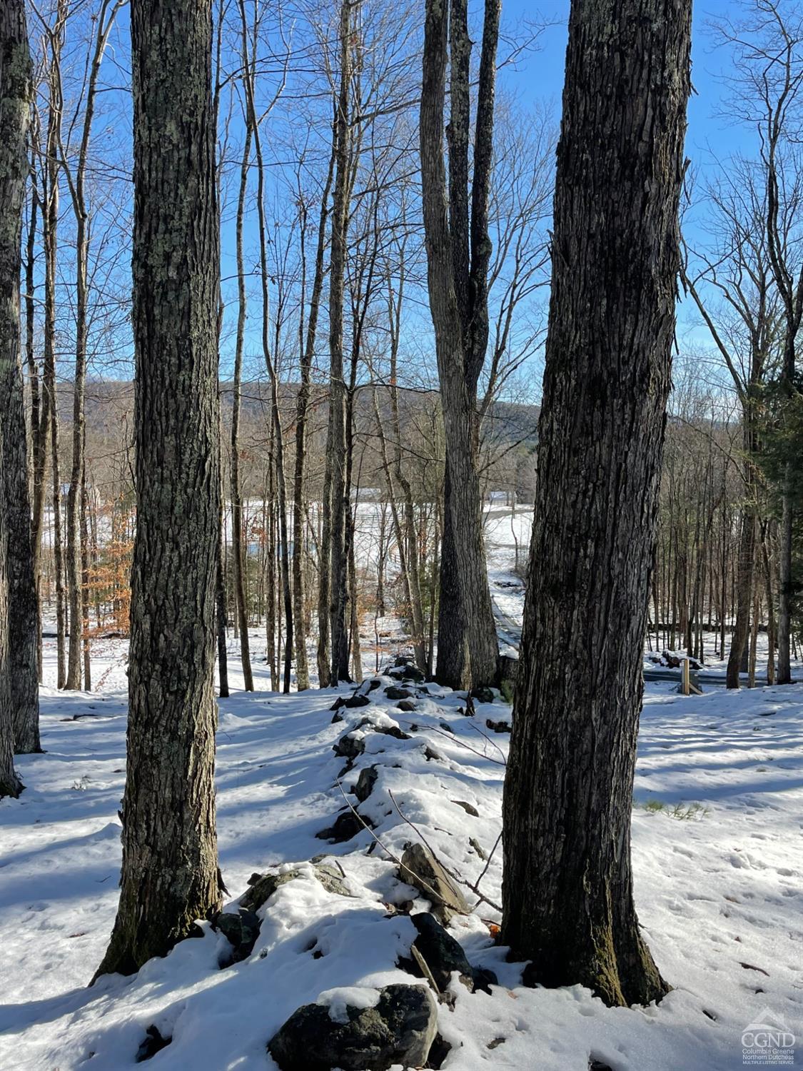 2 Windham Farms Road #LOT 2, Windham, New York image 5