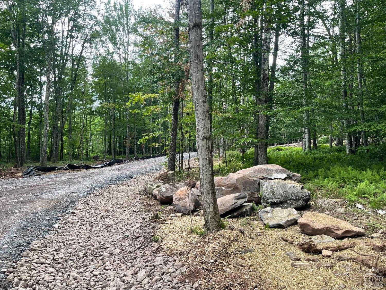 2 Windham Farms Road #LOT 2, Windham, New York image 27