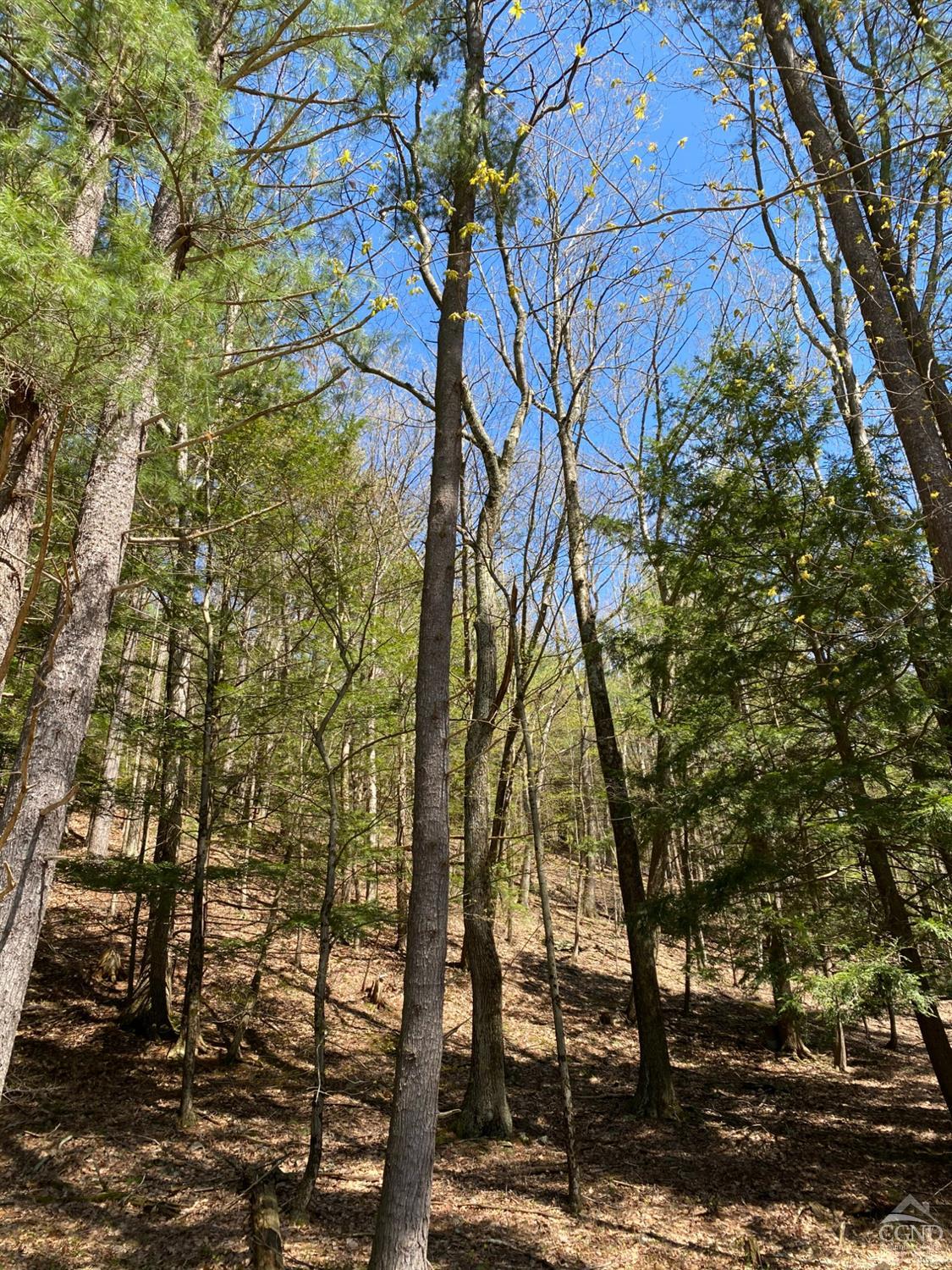 510 Mill Valley Road, Middleburgh, New York image 9