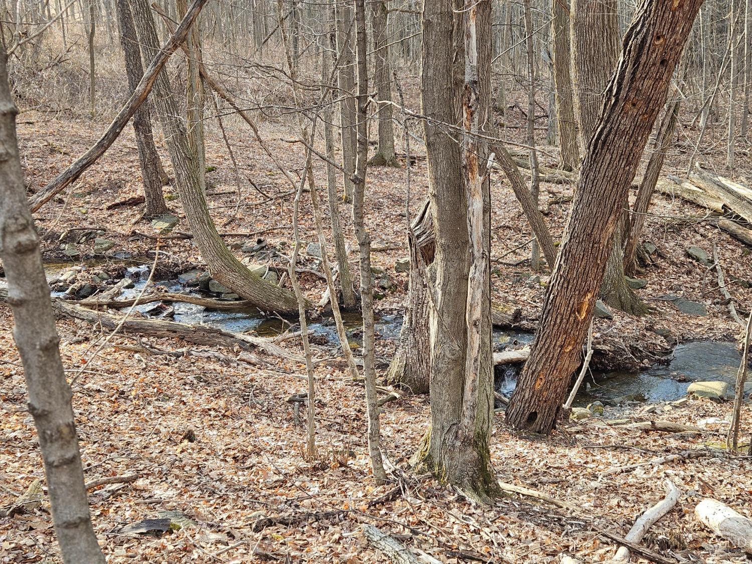 W Tbd Abitz Road, Durham, New York image 2
