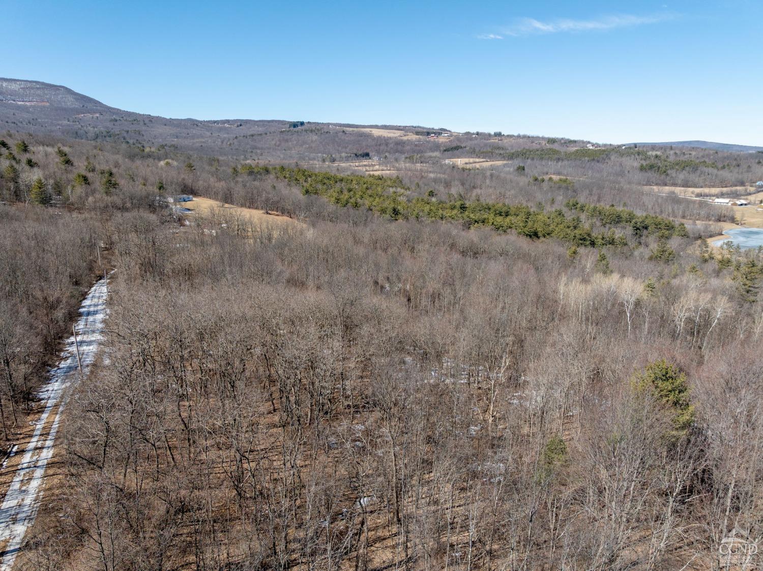 W Tbd Abitz Road, Durham, New York image 39