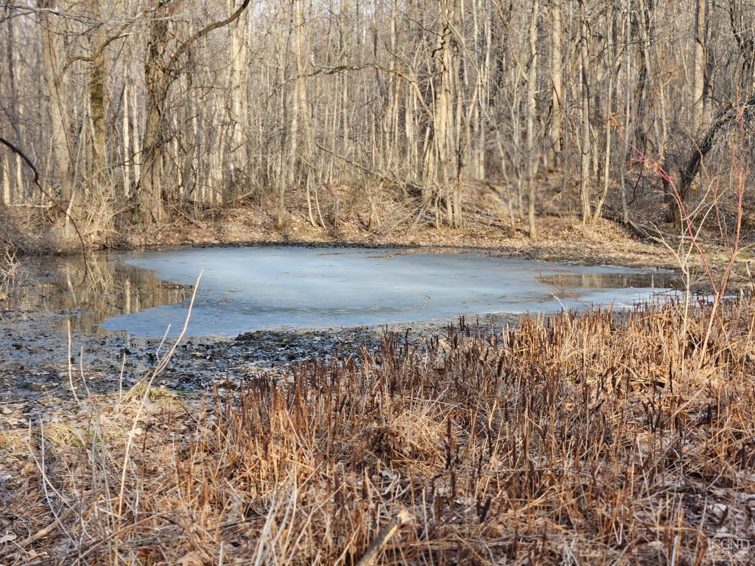 W Tbd Abitz Road, Durham, New York image 5