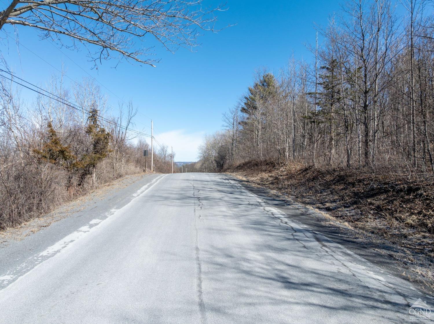 W Tbd Abitz Road, Durham, New York image 21