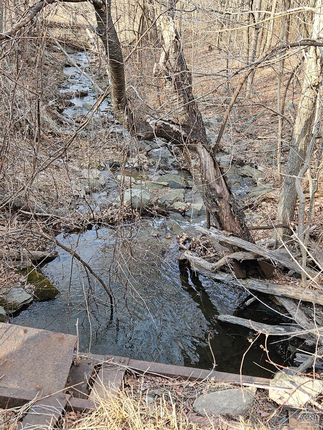 W Tbd Abitz Road, Durham, New York image 4