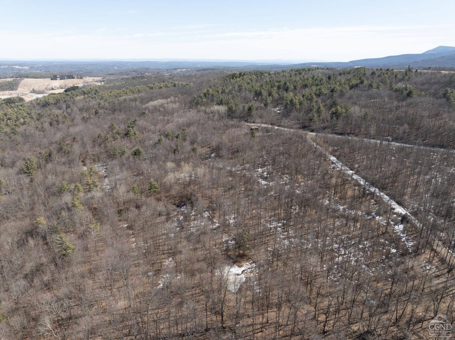 W Tbd Abitz Road, Durham, New York image 28
