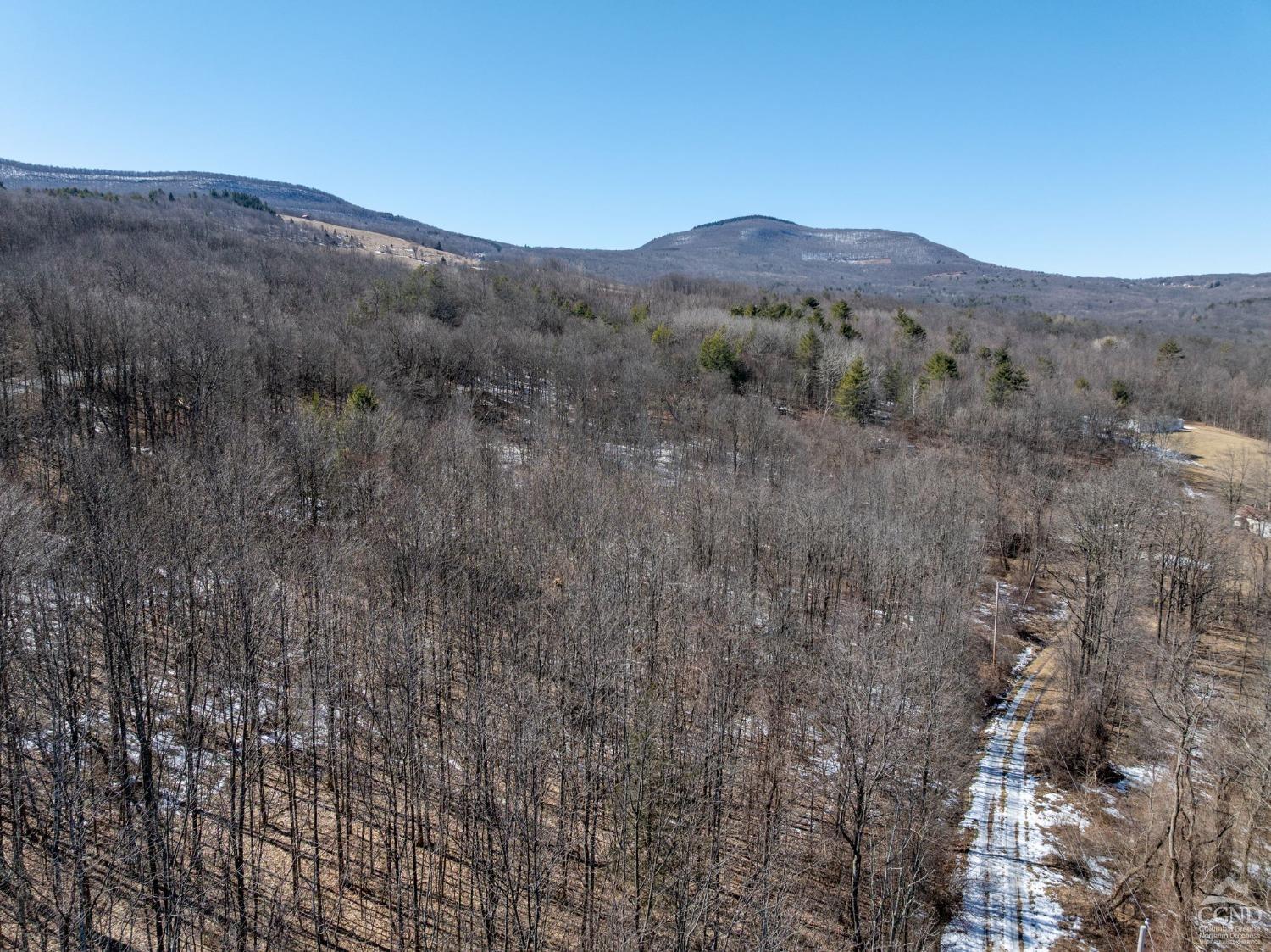 W Tbd Abitz Road, Durham, New York image 15