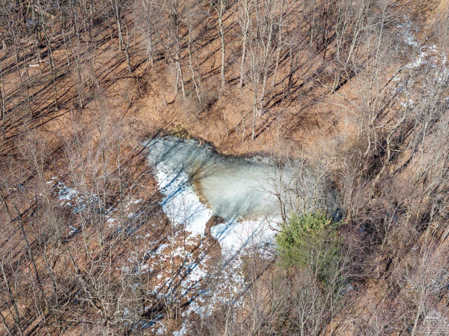 W Tbd Abitz Road, Durham, New York image 3