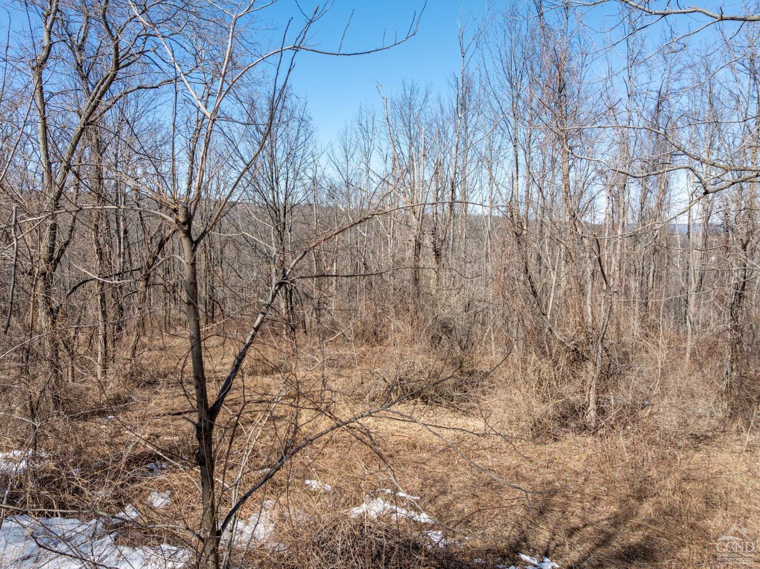 W Tbd Abitz Road, Durham, New York image 12