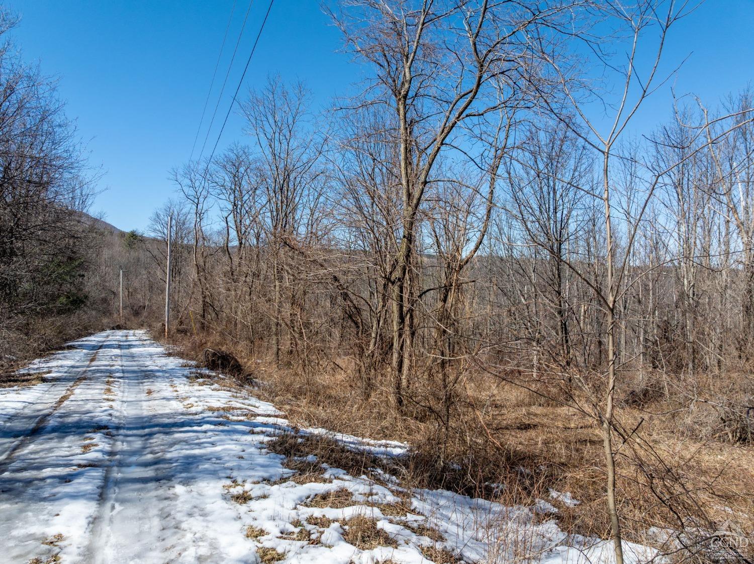 W Tbd Abitz Road, Durham, New York image 8