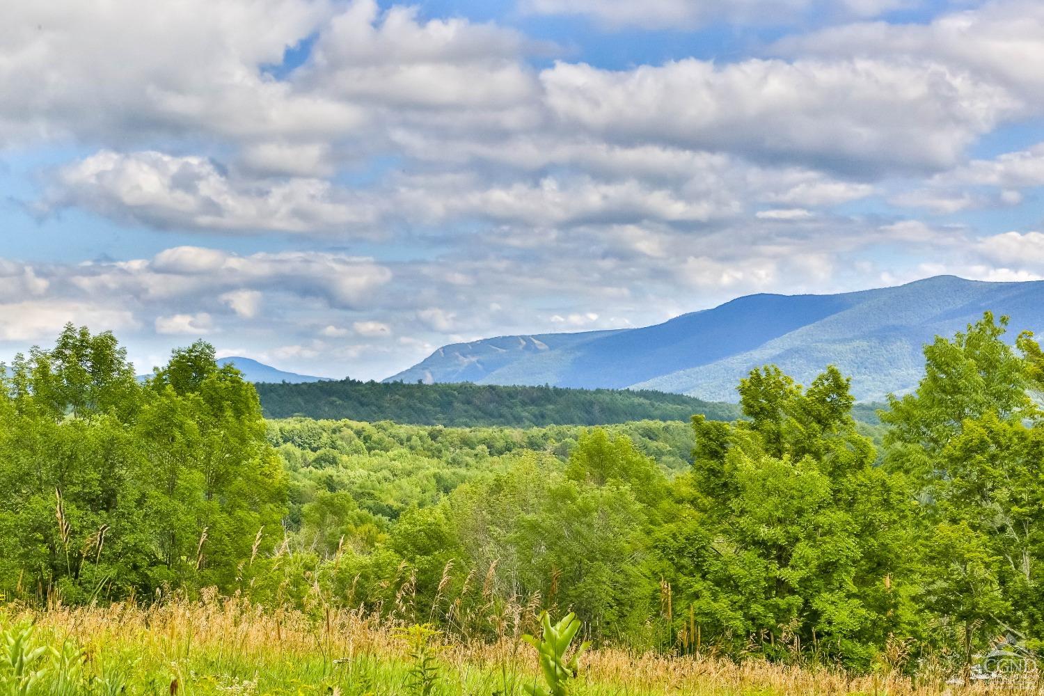 Route 23 C, Lexington, New York image 3