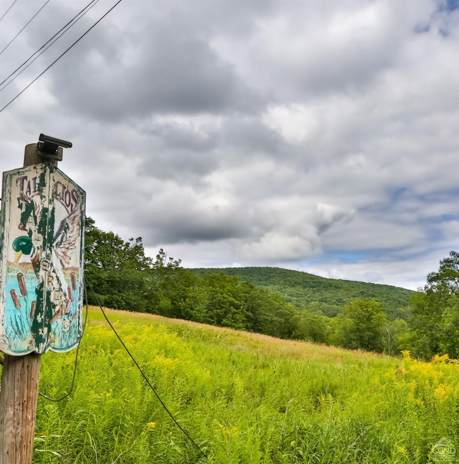 Route 23 C, Lexington, New York image 11