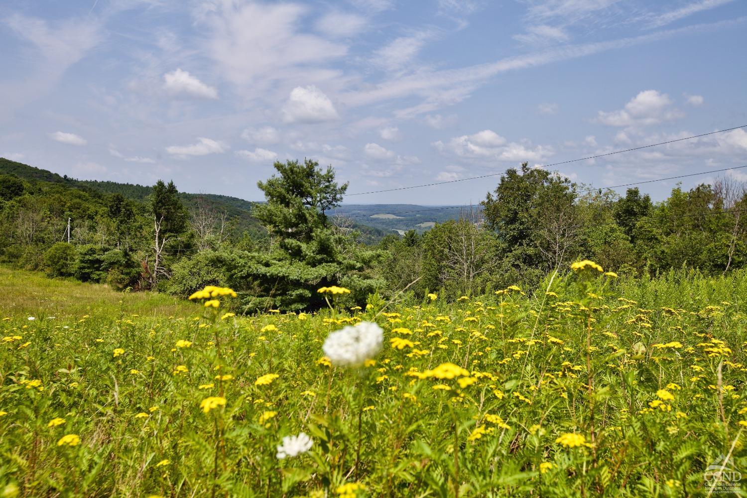 Mercer Mountian Road, Canaan, New York image 3