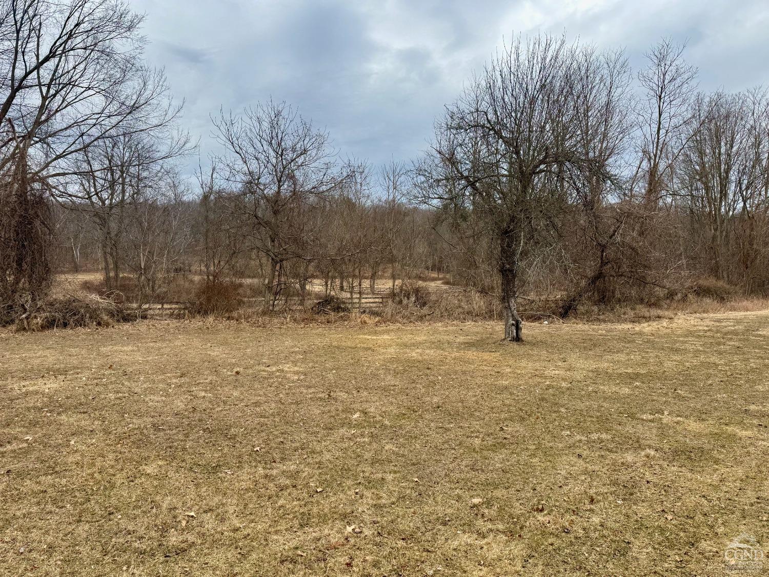 81 Nelson Avenue, Ghent, New York image 4
