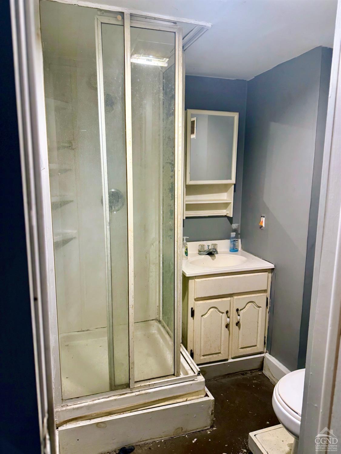 81 Nelson Avenue, Ghent, New York image 21