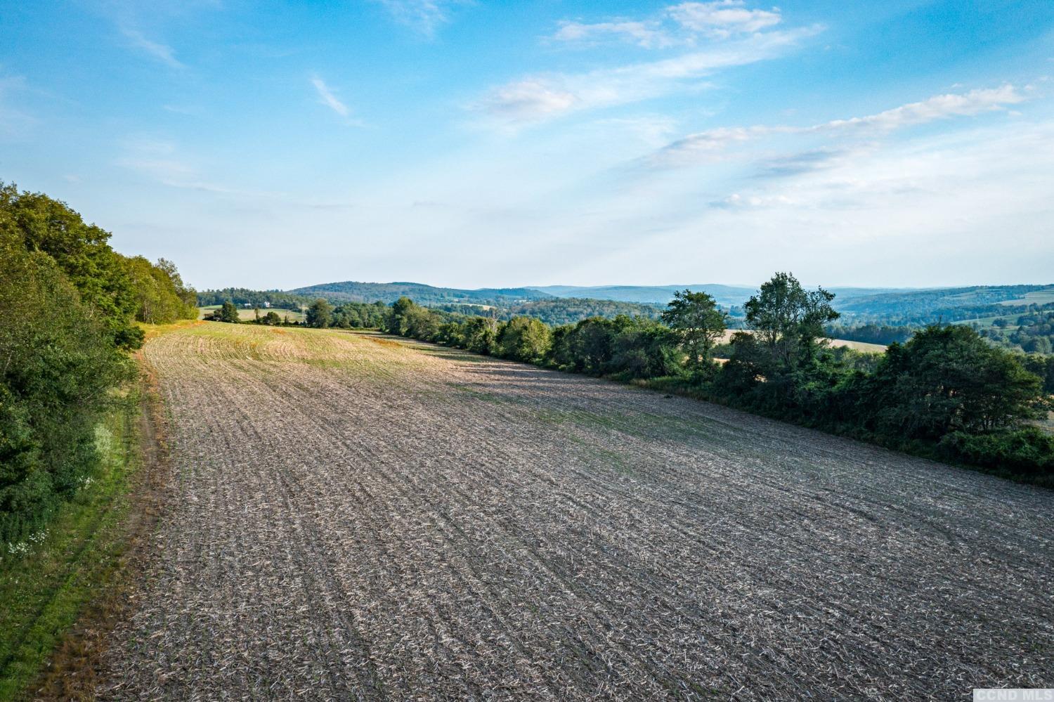 5 Homestead Farm Lane #15, Millerton, New York image 12