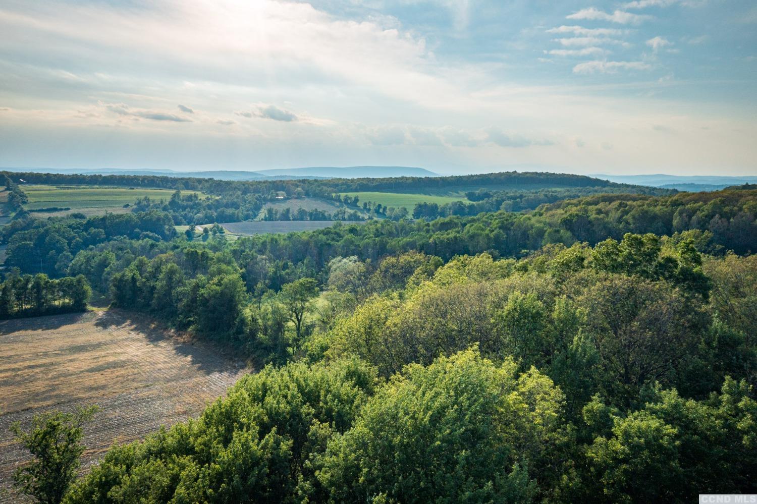 5 Homestead Farm Lane #15, Millerton, New York image 11