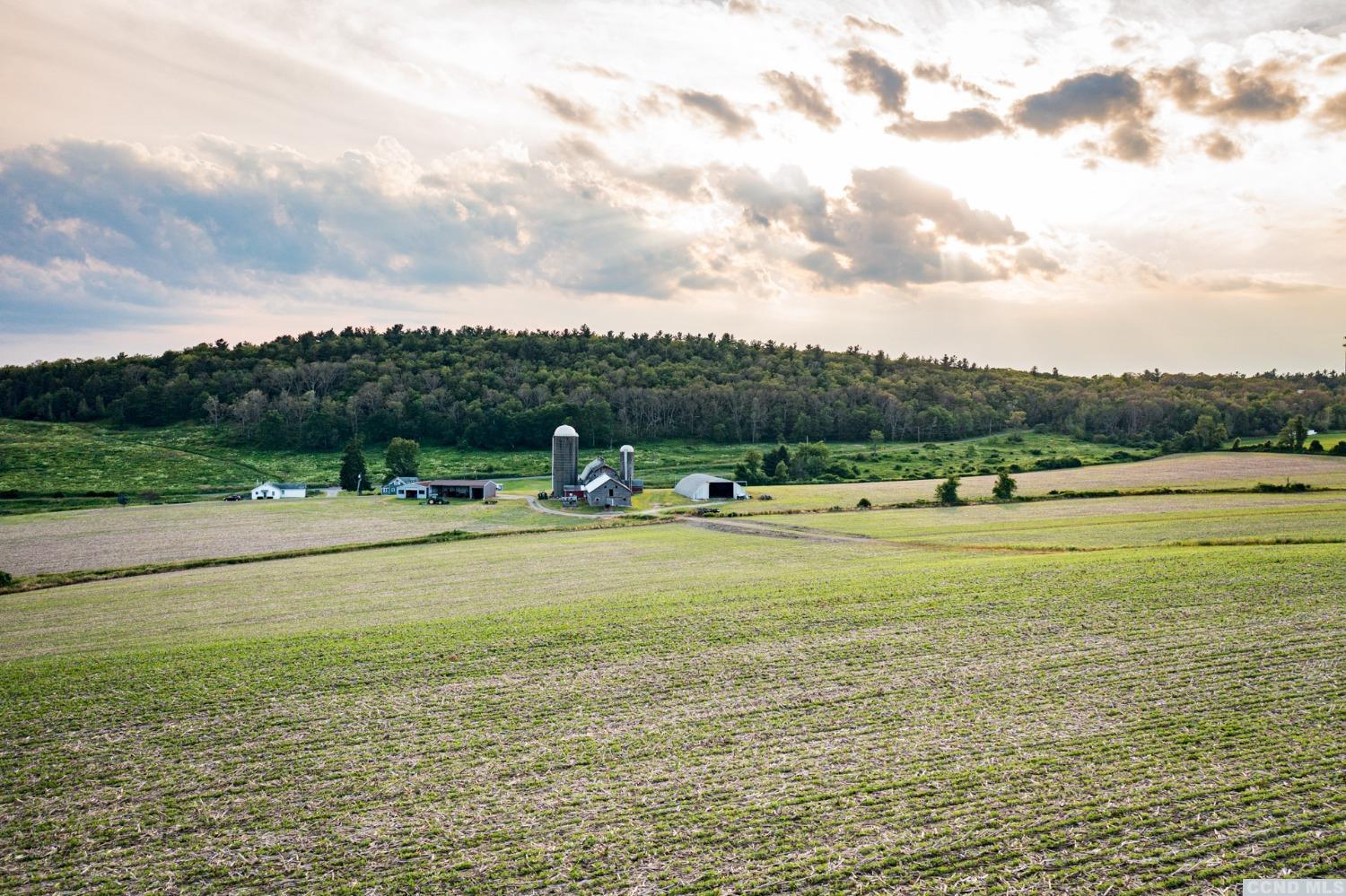 5 Homestead Farm Lane #15, Millerton, New York image 3