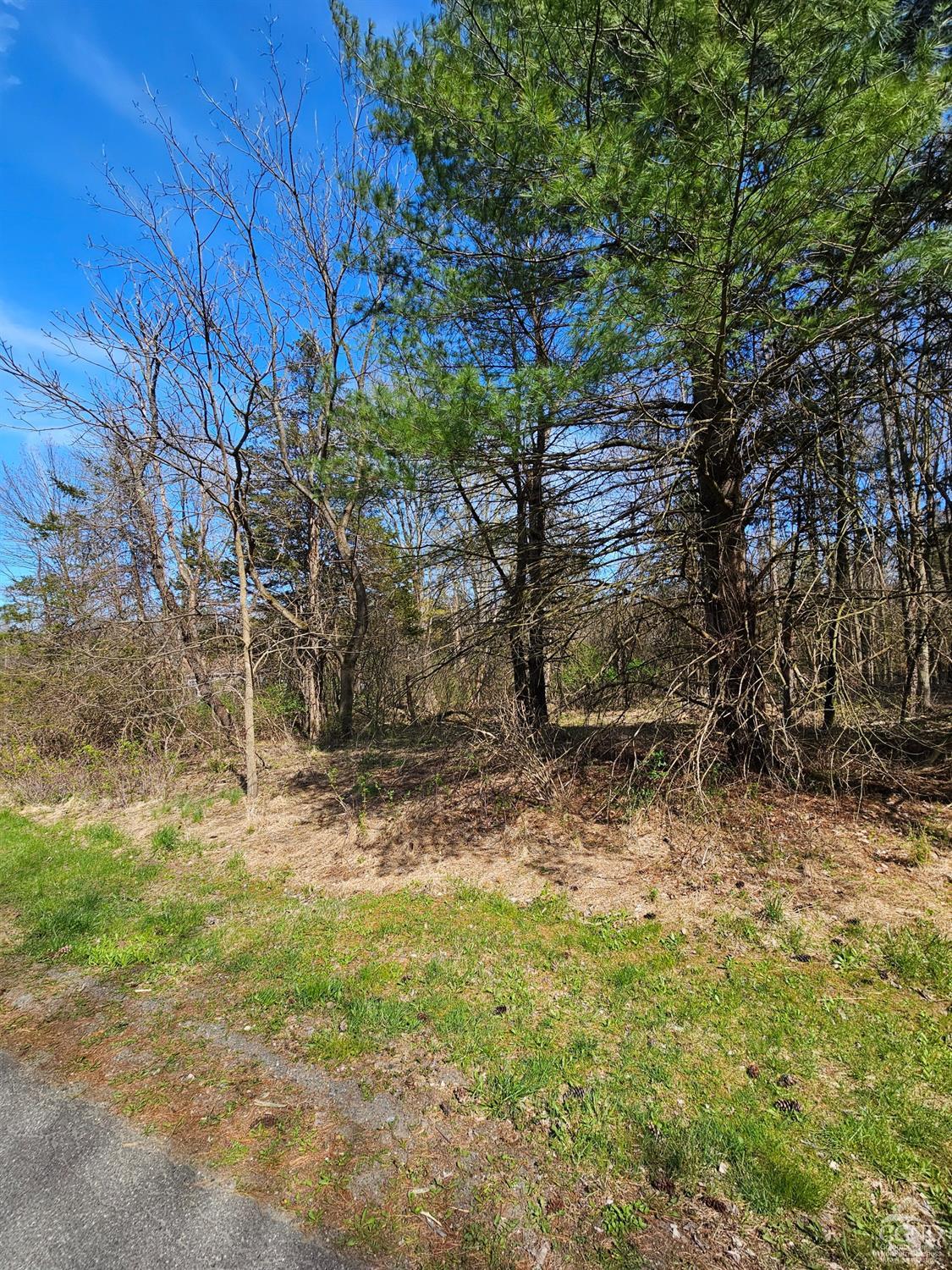 1105 Sleepy Hollow Rd Rd, Coxsackie, New York image 3