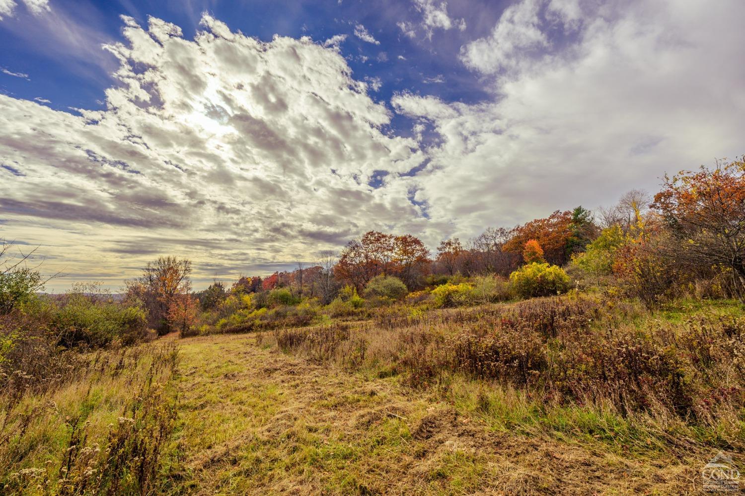 7 Darling Rd, Hillsdale, New York image 8