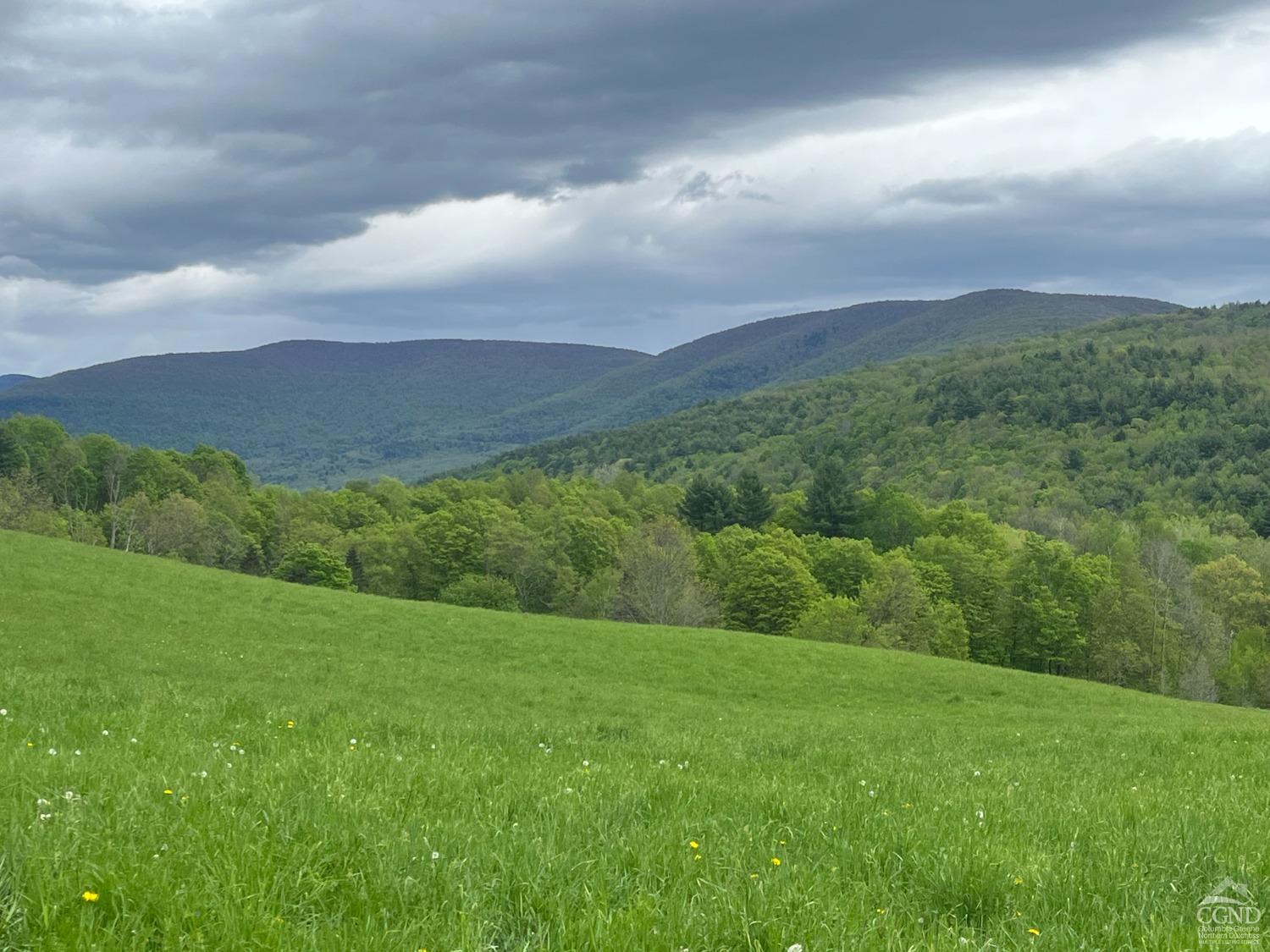 Route 23a, Prattsville, New York image 4