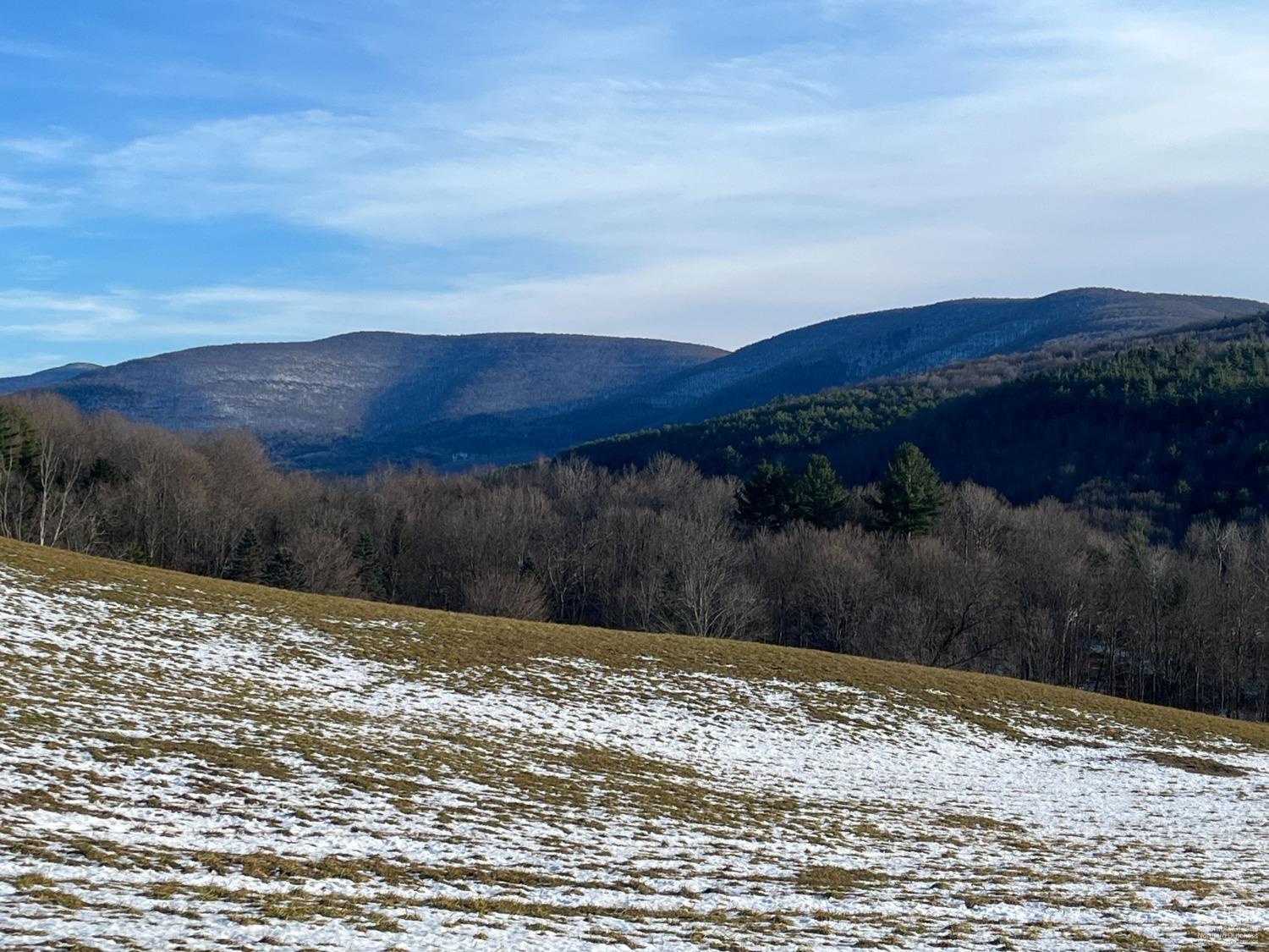 Route 23a, Prattsville, New York image 14