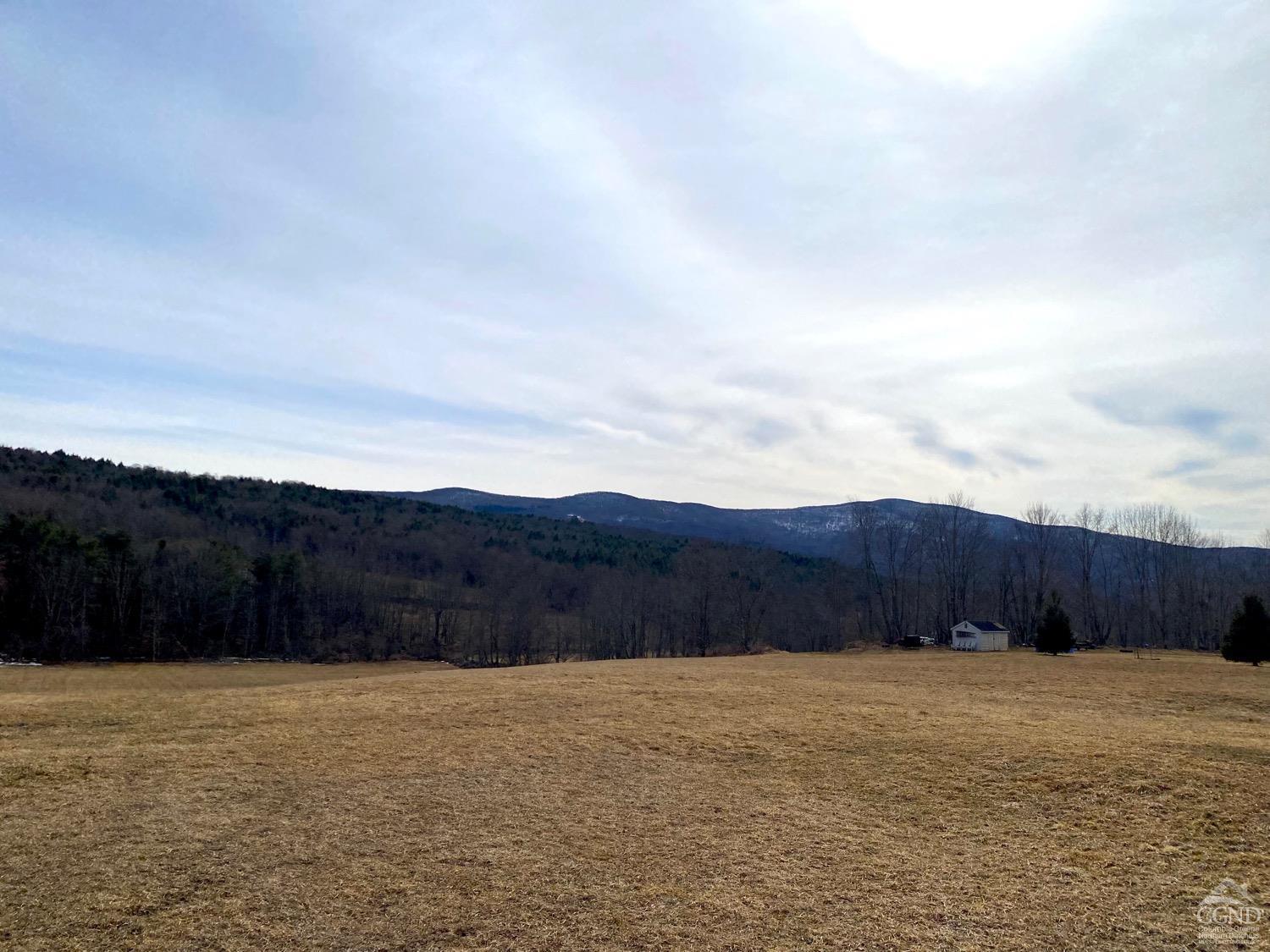 958 Potter Mountain Road Rd, Gilboa, New York image 2