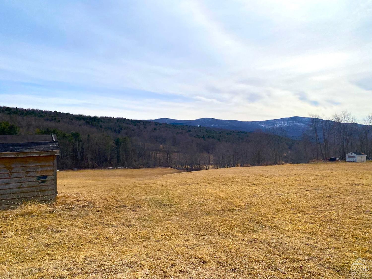 958 Potter Mountain Road Rd, Gilboa, New York image 3