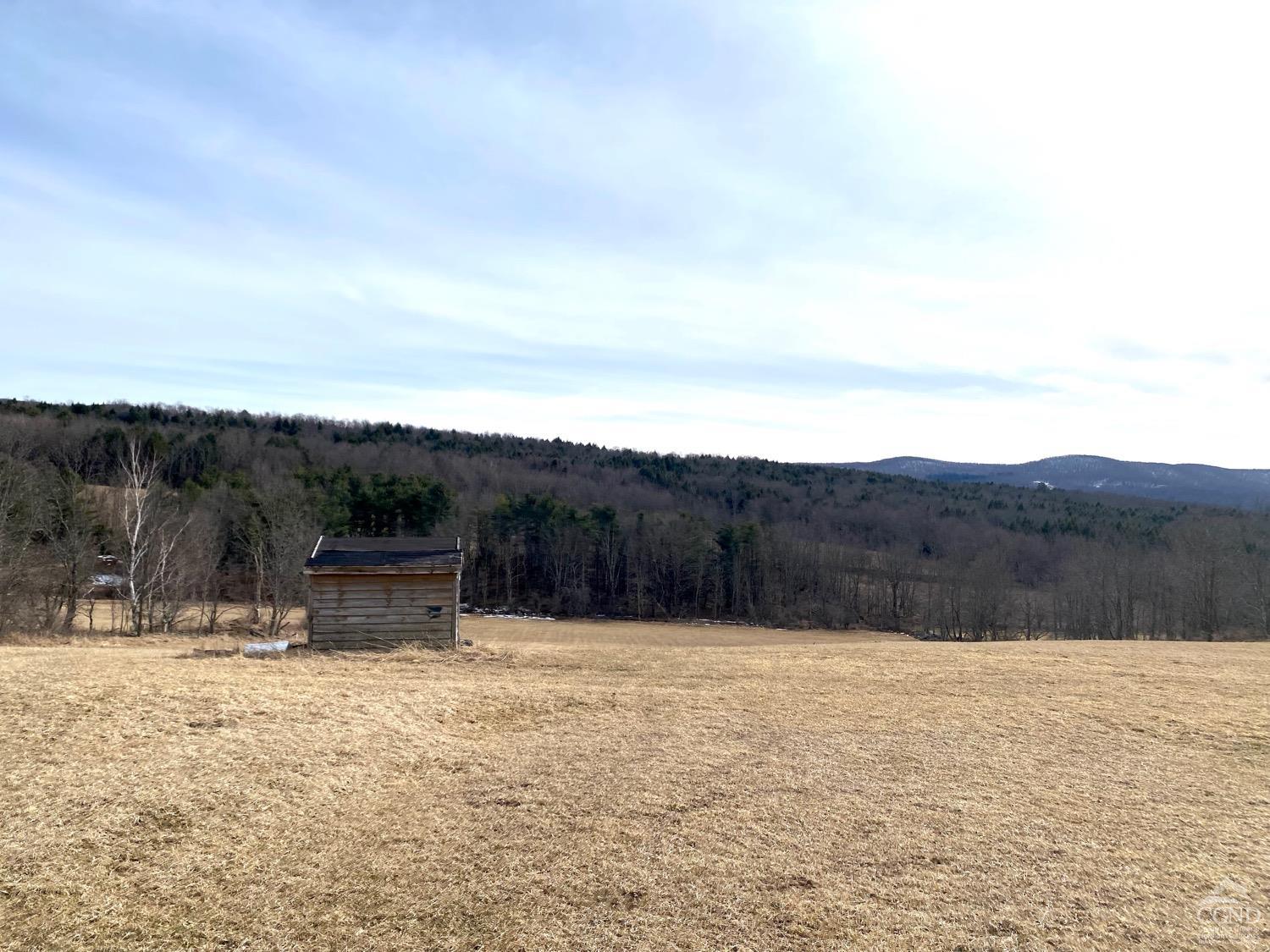 958 Potter Mountain Road Rd, Gilboa, New York image 4