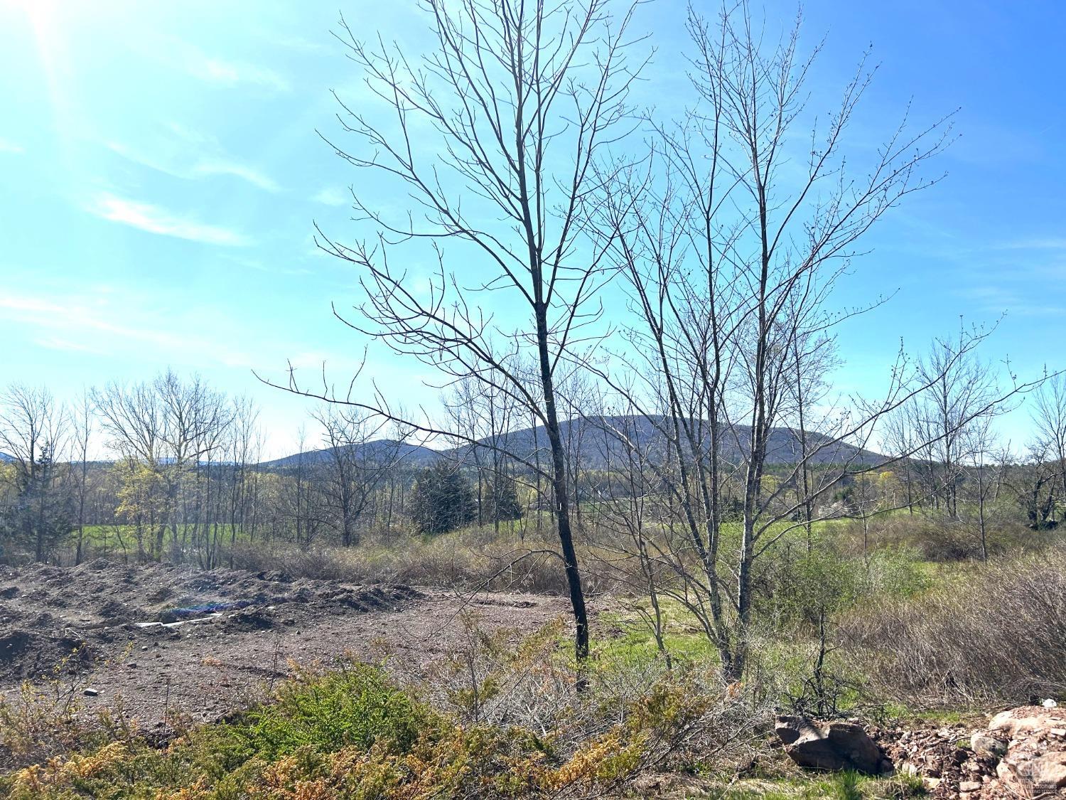 15 Meadow Lane, Jewett, New York image 7