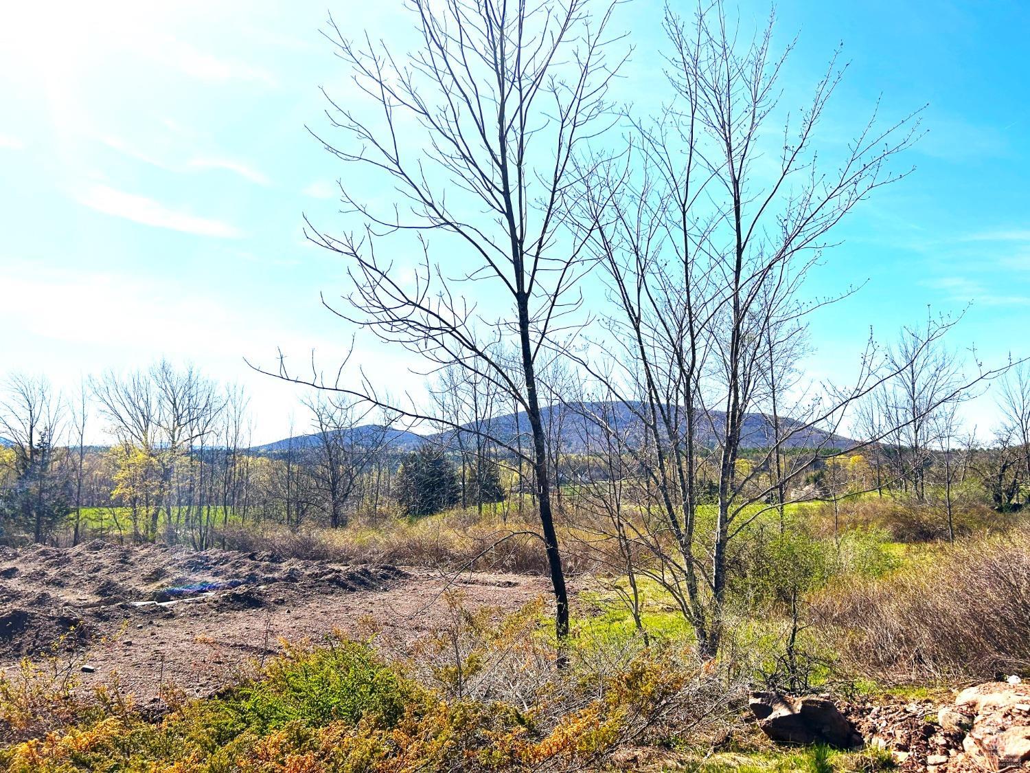 15 Meadow Lane, Jewett, New York image 5