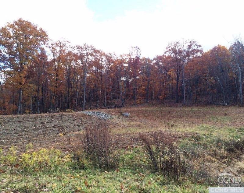 5 Stonegate Off Birch Hill Road #LOT 5, Copake, New York image 5